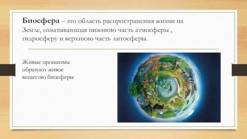 Биосфера охватывает нижнюю часть атмосферы