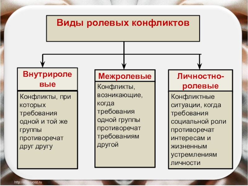 Реферат: Мои социальные роли и ролевые конфликты