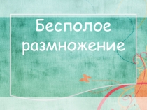 Бесполое размножение
1