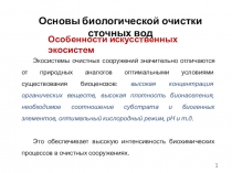 1
Основы биологической очистки сточных вод
Особенности искусственных