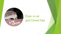 Ежи и их достоинства