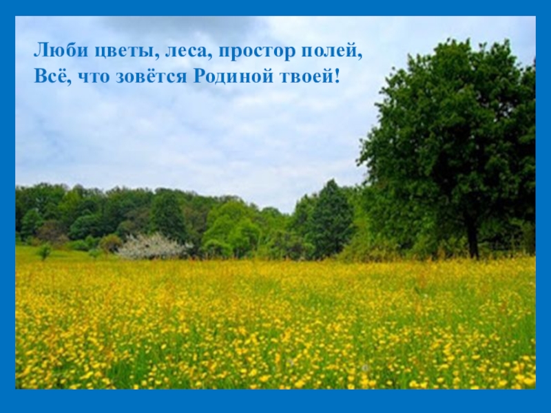 Твое поле. Люби цветы, леса, простор полей, всё, что зовётся родиной твоей!. Цитаты про поля и просторы. Родиной зовется. Что родиной моей зовется.