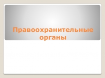 Правоохранительные органы