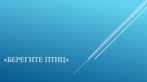 Берегите птиц
