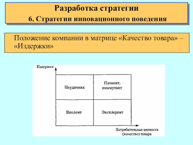 Ip стратегия инновационного проекта