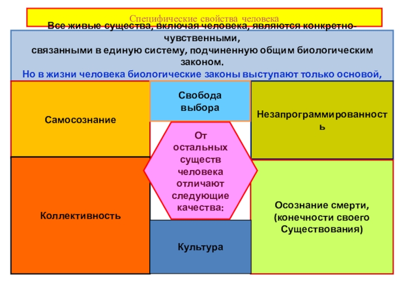 Специфические свойства человекаВсе живые существа, включая человека, являются конкретно-чувственными, связанными в единую систему, подчиненную общим биологическим законом.