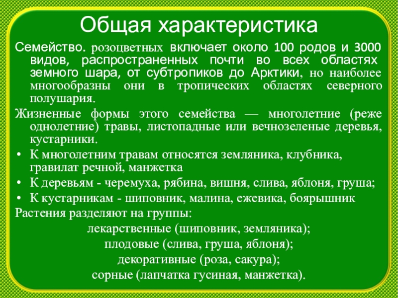 Признаки семейства розоцветные. Розоцветные общая характеристика. Семейство Розоцветные общая характеристика. 100 Родов розоцветных. Семейство Розоцветные общая характеристика 7 класс.