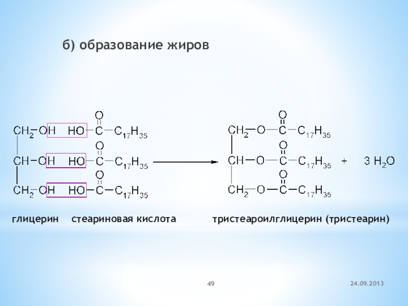 Схема образования жиров