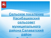 Сельское поселение Насибашевский сельсовет муниципального района Салаватский