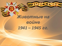 Животные на войне
1941 – 1945 гг