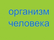 организм
человека