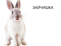 ЗАЙЧИШКА