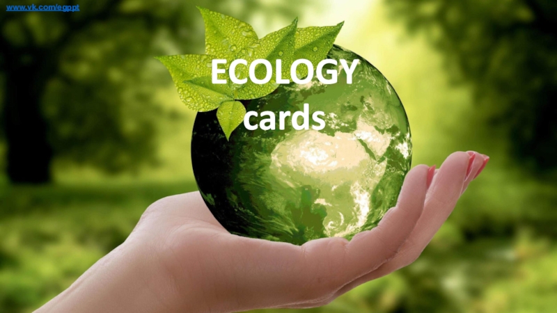 ECOLOGY
cards
www.vk.com/egppt