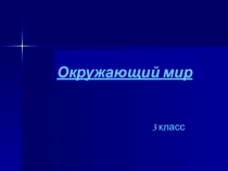 Окружающий мир