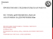 Проектно-исследовательская работа по Теме: Функциональная анатомия