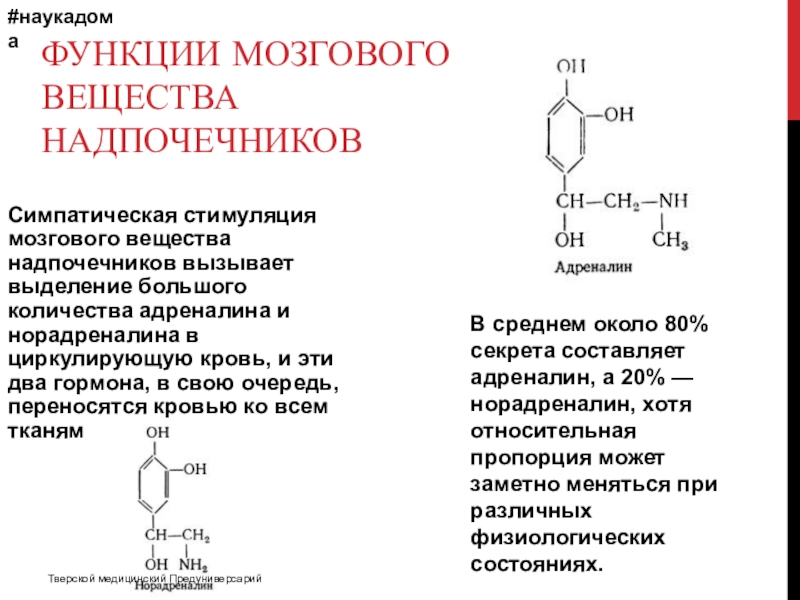 Адреналин и норадреналин функции. Функции мозгового вещества надпочечников. Стимуляция мозгового вещества надпочечников. Роль норадреналина.