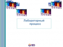 Лабораторный процесс
