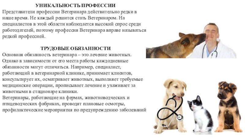 Доклад: Ветеринар