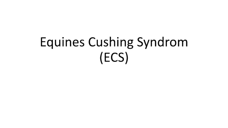 Equines Cushing Syndrom (ECS)