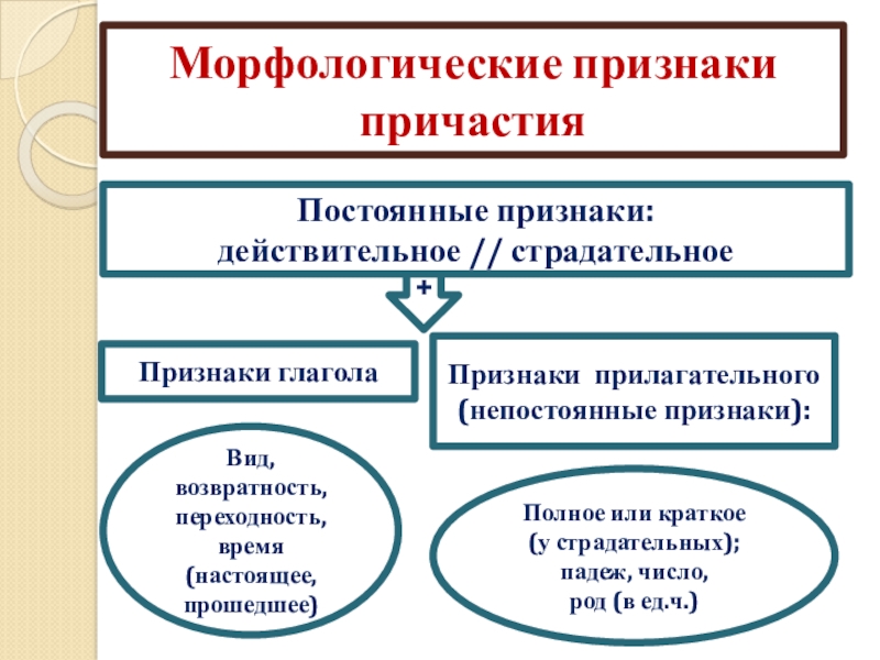 Признаки прилагательного и глагола у причастия презентация 7 класс