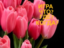 ИГРА