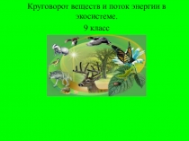 Круговорот веществ и поток энергии в экосистеме.
9 класс