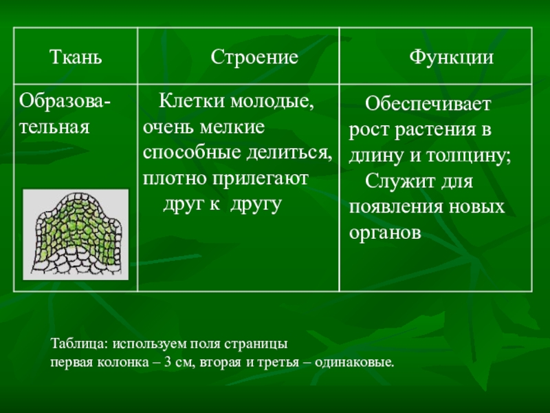 Биология 9 класс повторение презентация