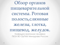 Обзор органов пищеварительной системы. Ротовая полость,слюнные железы, глотка,