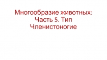 Многообразие животных: Часть 5. Тип Членистоногие