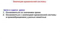Эволюция кровеносной системы