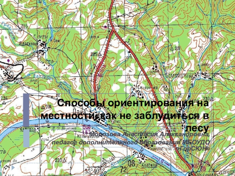 Презентация Способы ориентирования на местности: как не заблудиться в лесу