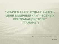 И зачем было судьбе кинуть меня в мирный круг честных контрабандистов?“