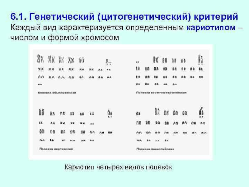 Генетический критерий. Цитогенетический критерий. Цитогенетический критерий вида. Цитогенетический критерий вида примеры. Примеры цитогенетического критерия вида.