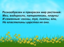 Разнообразен и прекрасен мир растений:
Мхи, водоросли, папоротники, плауны
И