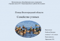 Муниципальное общеобразовательное учреждение
Средняя школа № 31
