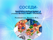 СОСЕДИ-НЕВИДИМКИ
Выполнила: Рощина Дарина
ученица 4В класса МБОУ