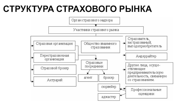 Деятельность участников страхового рынка