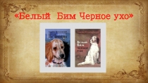 Белый Бим Черное ухо