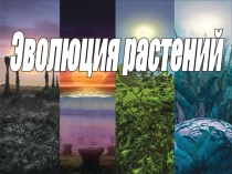Эволюция растений