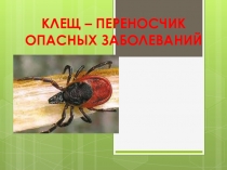 КЛЕЩ – ПЕРЕНОСЧИК ОПАСНЫХ ЗАБОЛЕВАНИЙ