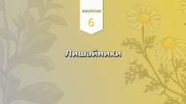 12. Лишайники