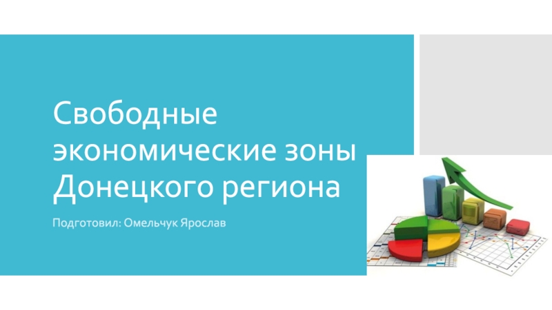 Свободные экономические зоны Донецкого региона