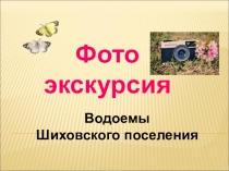 Фото экскурсия
Водоемы
Шиховского поселения