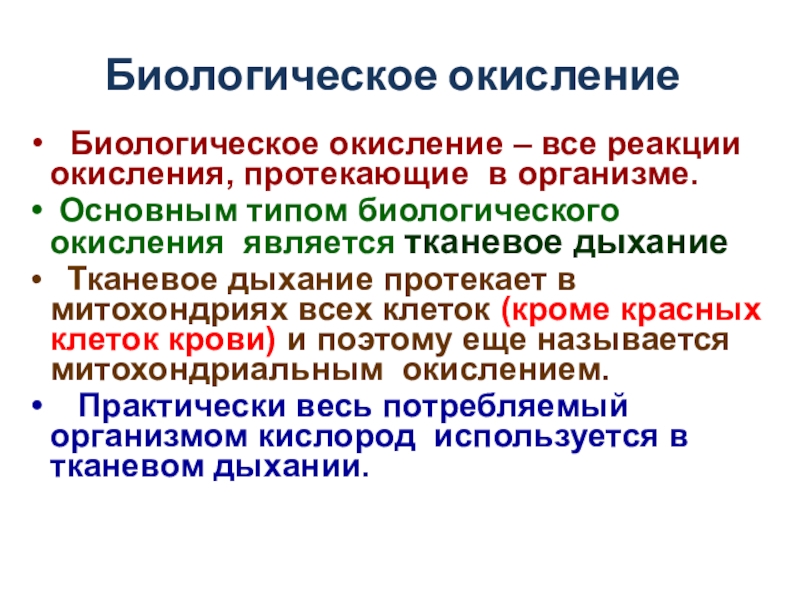 Биологический тип. Биологическое окисление. Типы биологического окисления. Процесс биологического окисления. Основные пути биологического окисления.