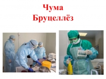 Чума Бруцеллёз