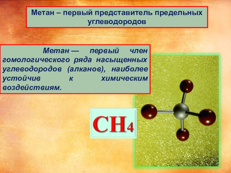 Углеводороды кратко и понятно. Алканы первый представитель. Углеводороды метан. Алканы представители. Представители метана.