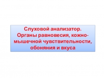Слуховой анализатор.
Органы равновесия, кожно-мышечной чувствительности,