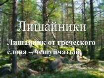Лишайник от греческого слова – чешуйчатый