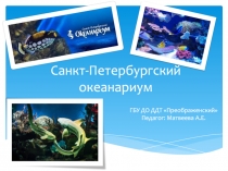 Санкт-Петербургский океанариум