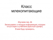 Класс млекопитающие